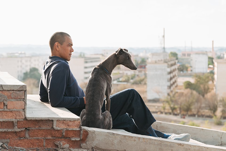 Film: Black Dog